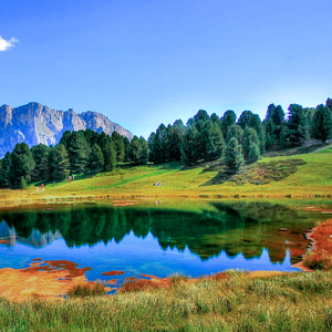 李毅吧第四十一期
